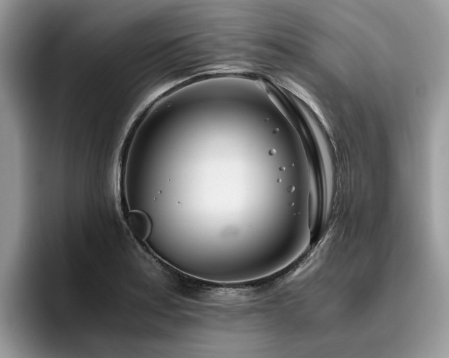 X0000096201179200801181335