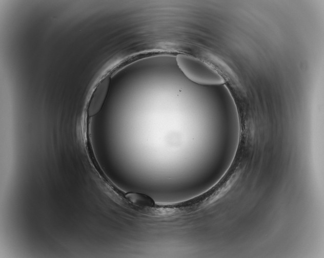 X0000096201180200801181335