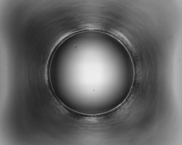 X0000096201182200801181335