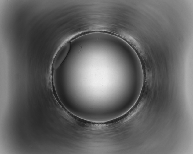 X0000096201184200801181335