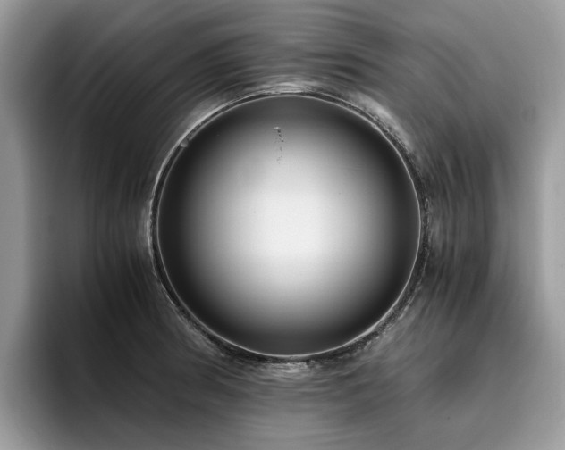 X0000096201186200801181335