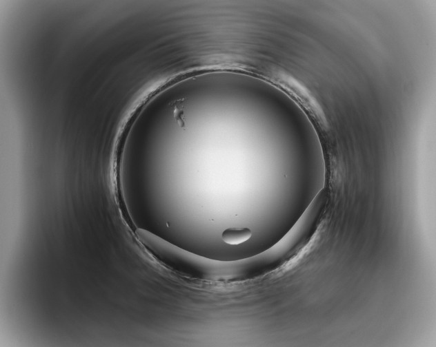 X0000096201188200801181335