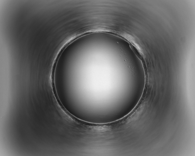 X0000096201189200801181335