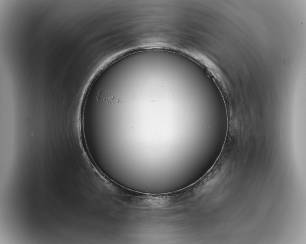 X0000096201191200801181335