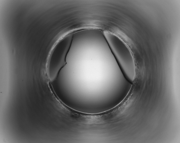 X0000096201192200801181335