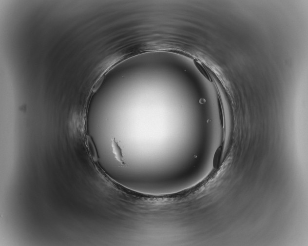 X0000096201193200801181335