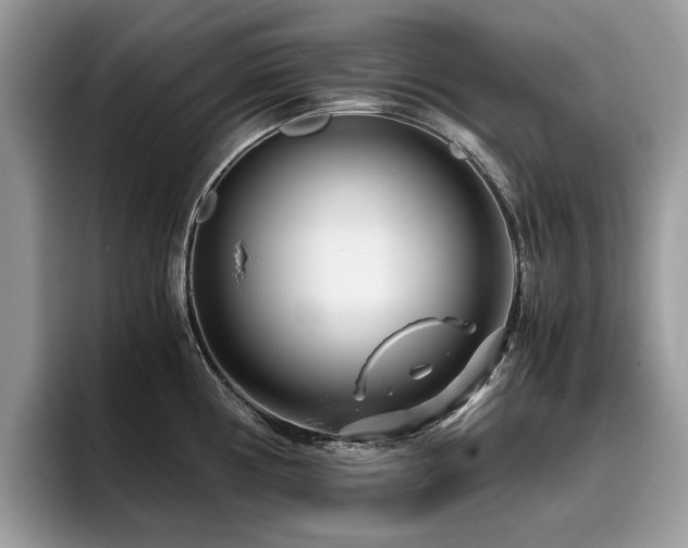 X0000096201194200801181335