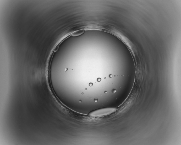 X0000096201195200801181335