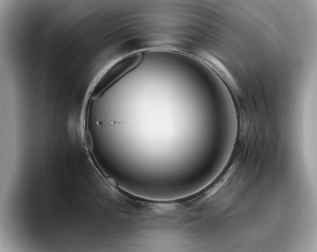 X0000096201196200801181335
