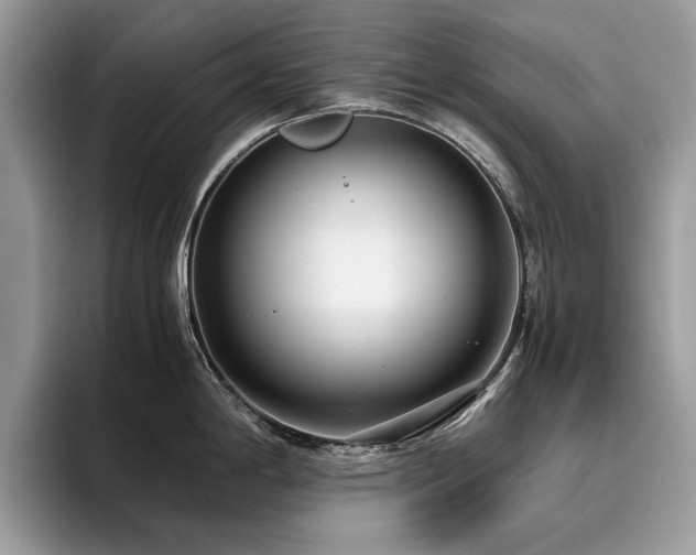 X0000096201198200801181335