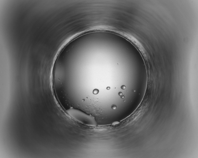 X0000096201199200801181335