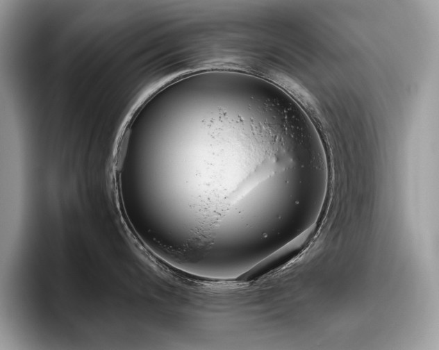 X0000096201200200801181335
