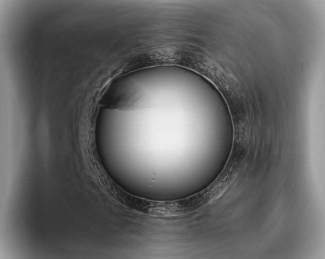 X0000096201201200801181334