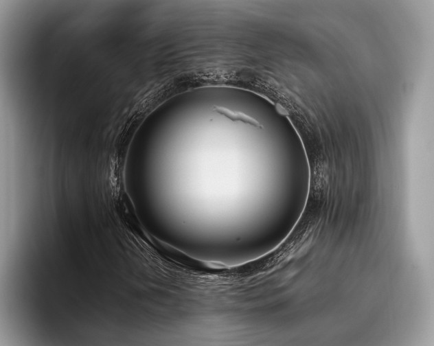 X0000096201202200801181334