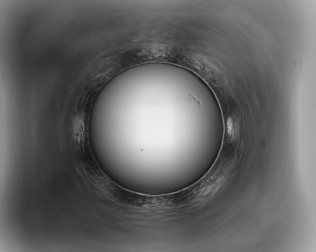 X0000096201203200801181334