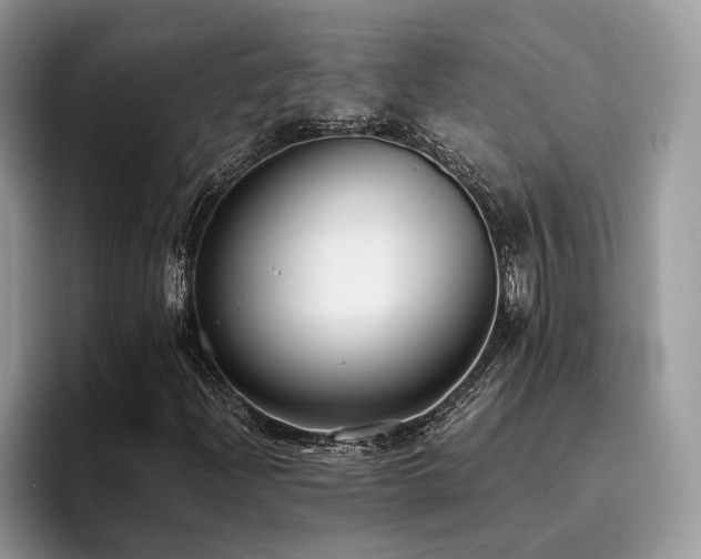 X0000096201204200801181334