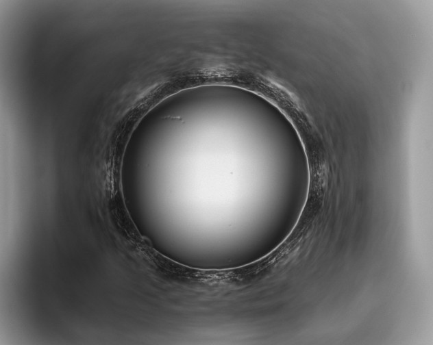 X0000096201205200801181334