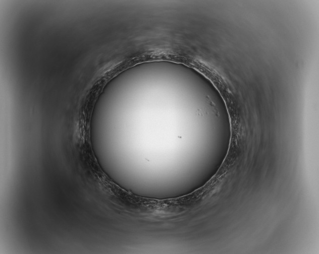 X0000096201207200801181334