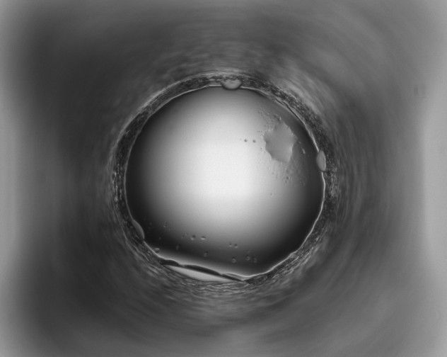 X0000096201208200801181334