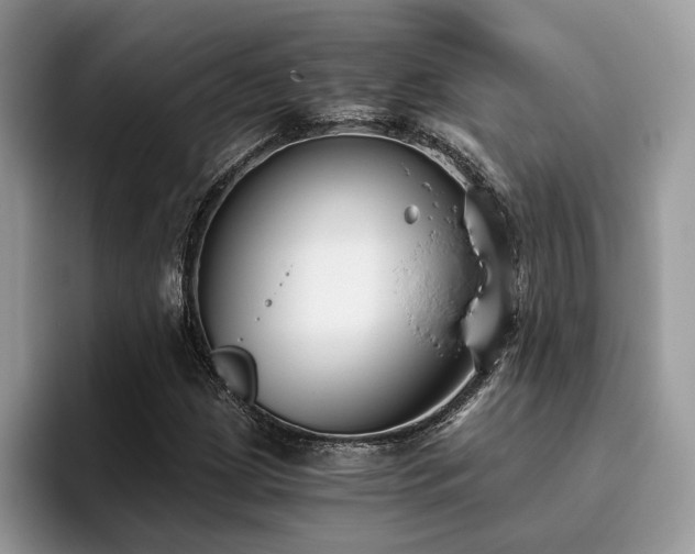 X0000096201209200801181334