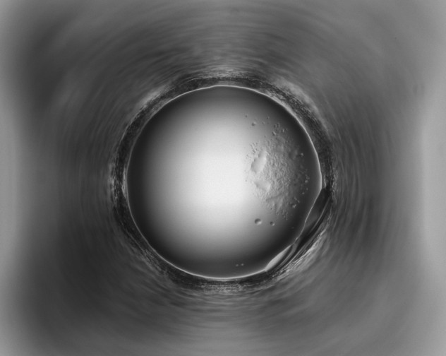 X0000096201210200801181334