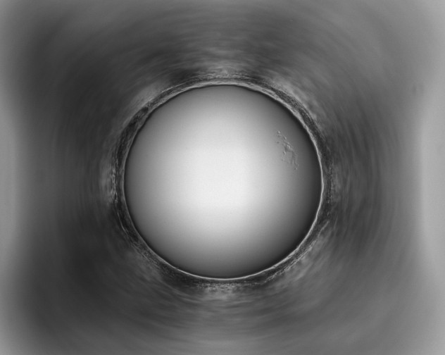 X0000096201211200801181334