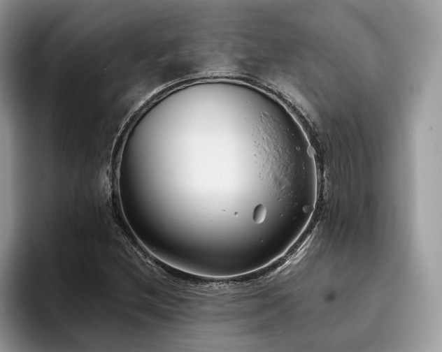 X0000096201212200801181334