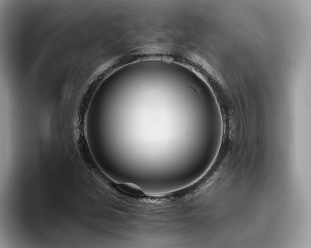 X0000096201213200801181334