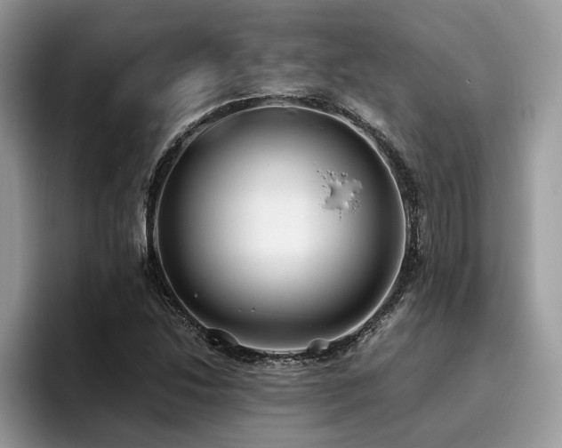 X0000096201214200801181334