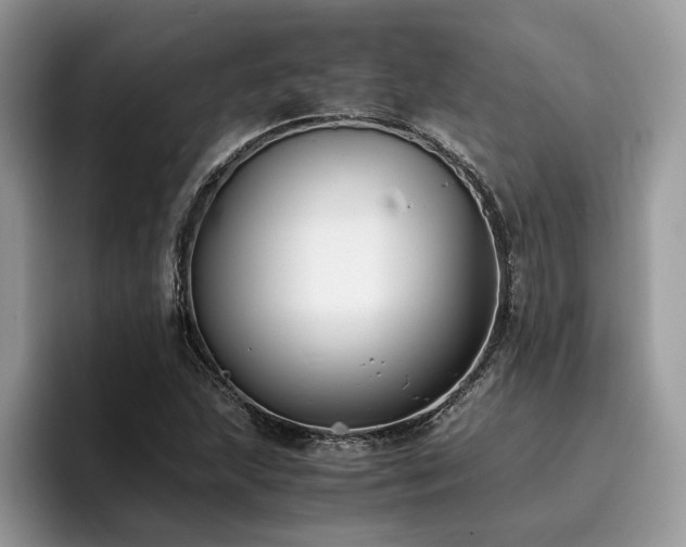 X0000096201215200801181334