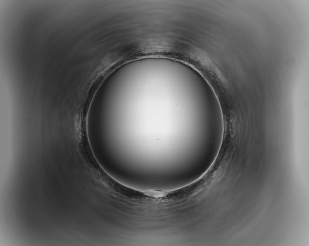 X0000096201217200801181334