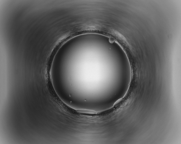 X0000096201218200801181334