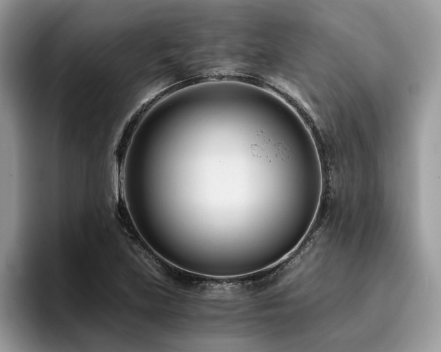 X0000096201219200801181334