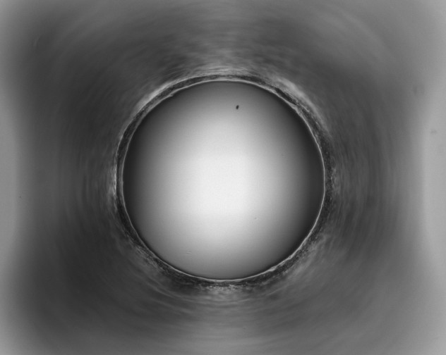 X0000096201220200801181334