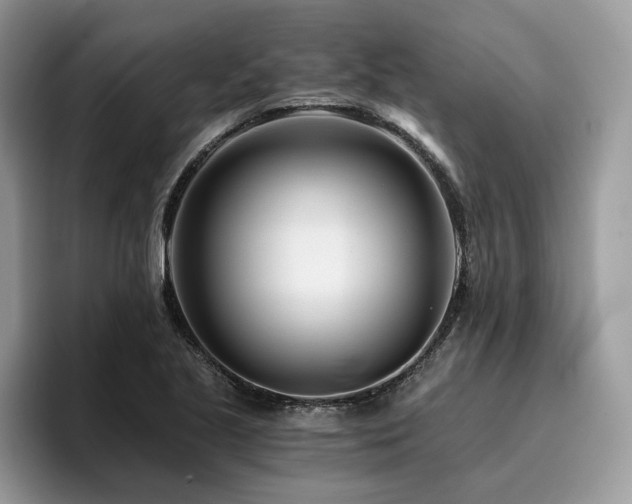 X0000096201221200801181334