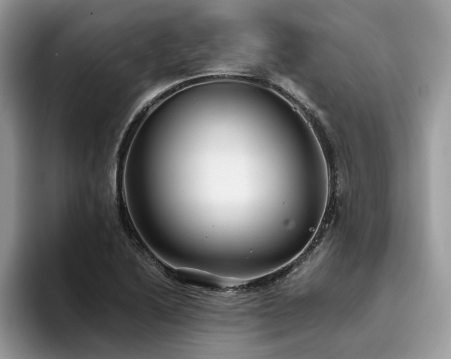 X0000096201222200801181334