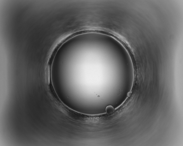 X0000096201223200801181334
