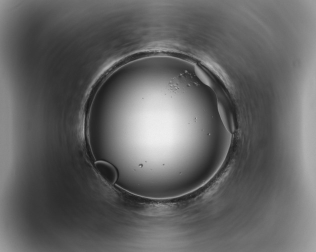 X0000096201224200801181334