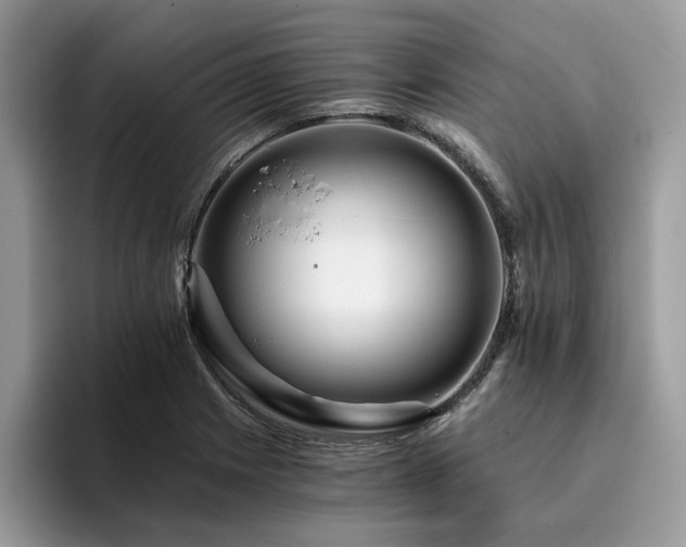 X0000096201225200801181334