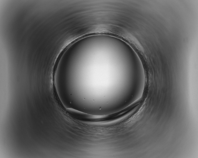 X0000096201226200801181334
