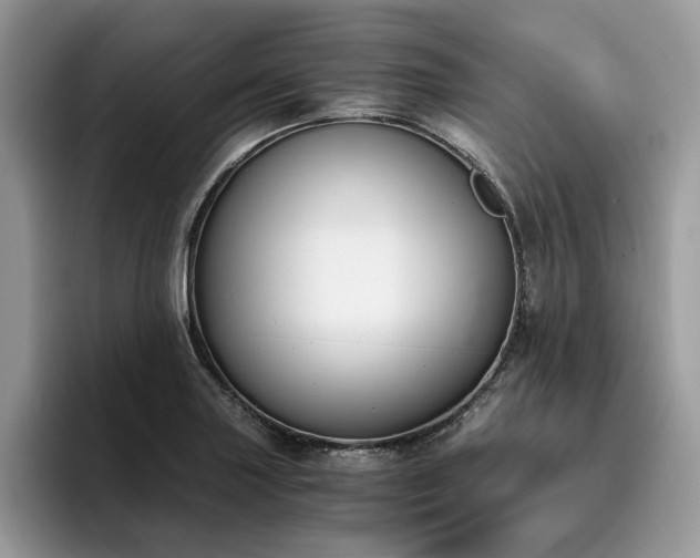 X0000096201227200801181334