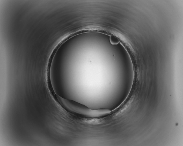 X0000096201229200801181334