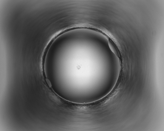 X0000096201230200801181334