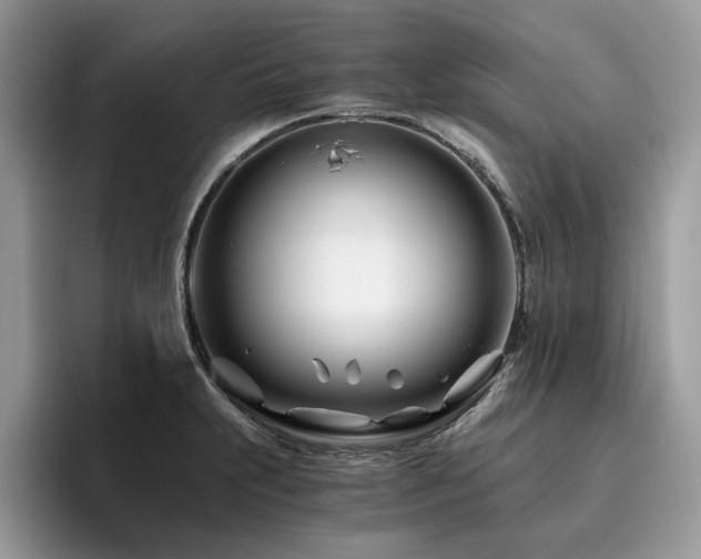 X0000096201231200801181334