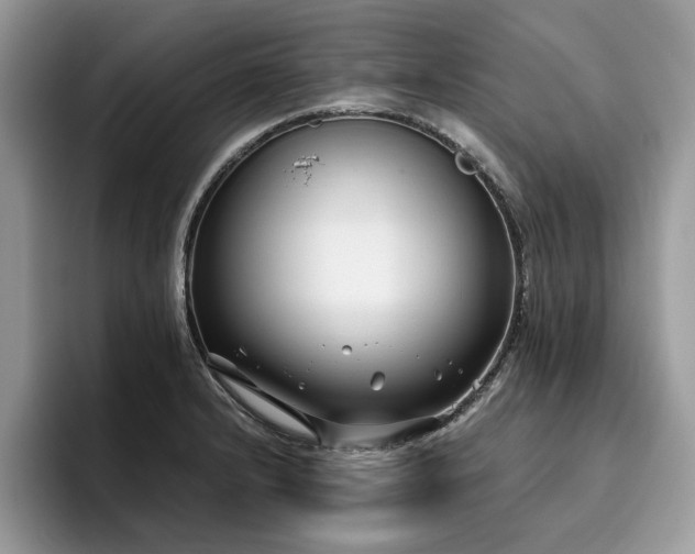 X0000096201232200801181334