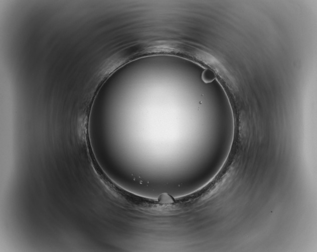 X0000096201233200801181334