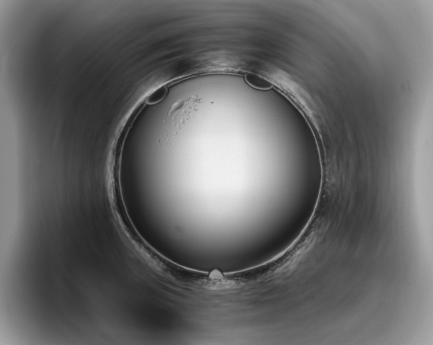 X0000096201235200801181334