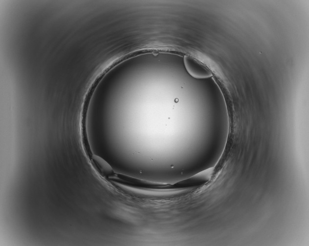 X0000096201237200801181334