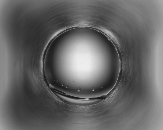X0000096201238200801181334