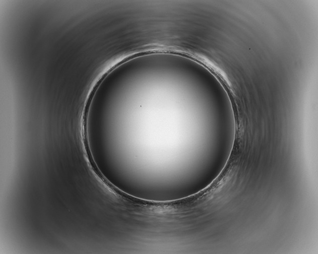 X0000096201239200801181334